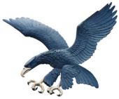 blue-eagle.jpg